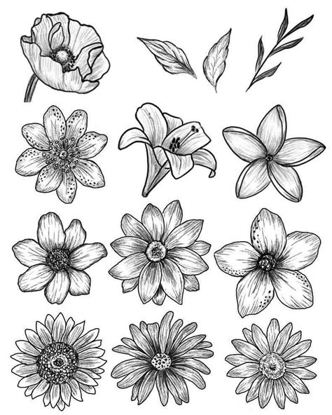 flower drawings pinterest